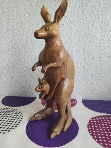 Alte känguru mit baby - känguru,