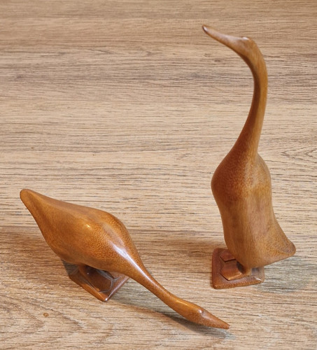 Reiher kranich vogel - reiher,
